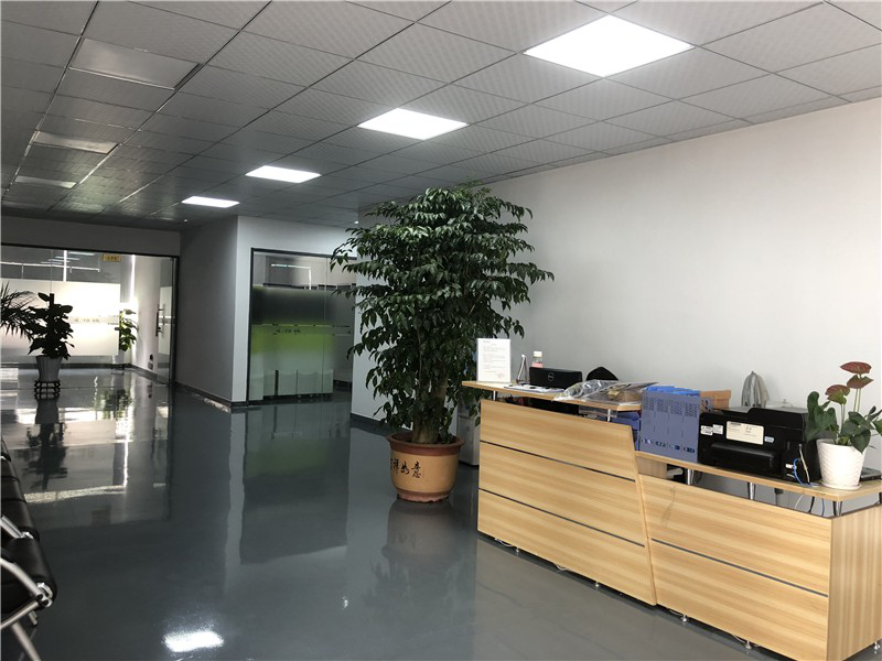 深圳龙岗办公室装修后这几种植物不可少